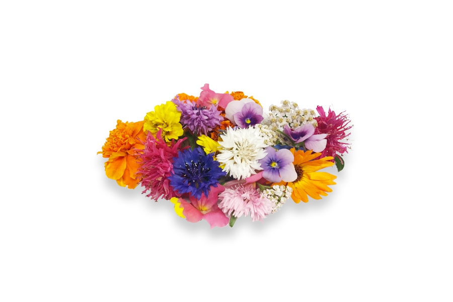 lila Egypte toewijding Bloemenmix eetbaar | Heerkens Groente en Fruit